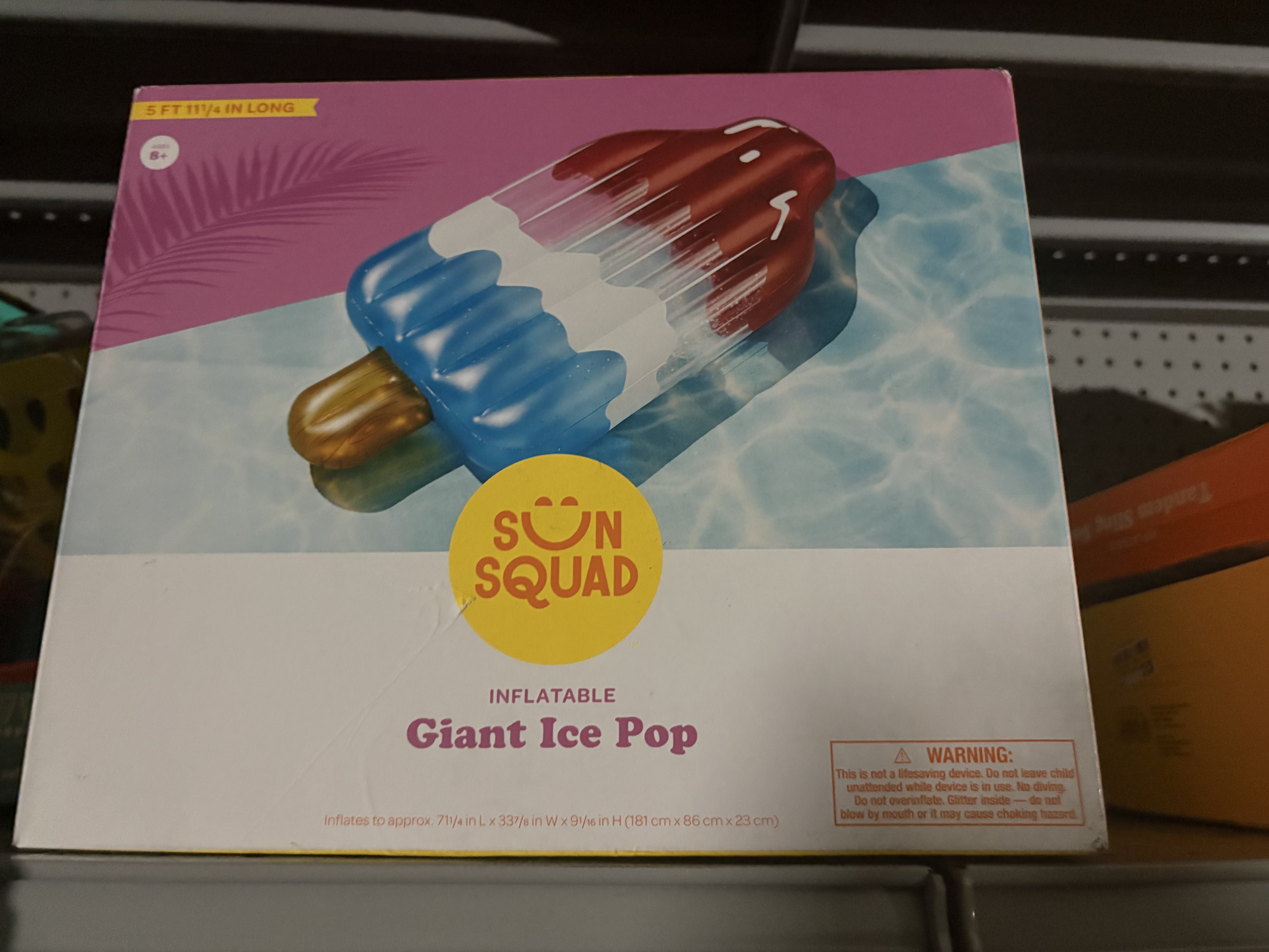 Pool Float