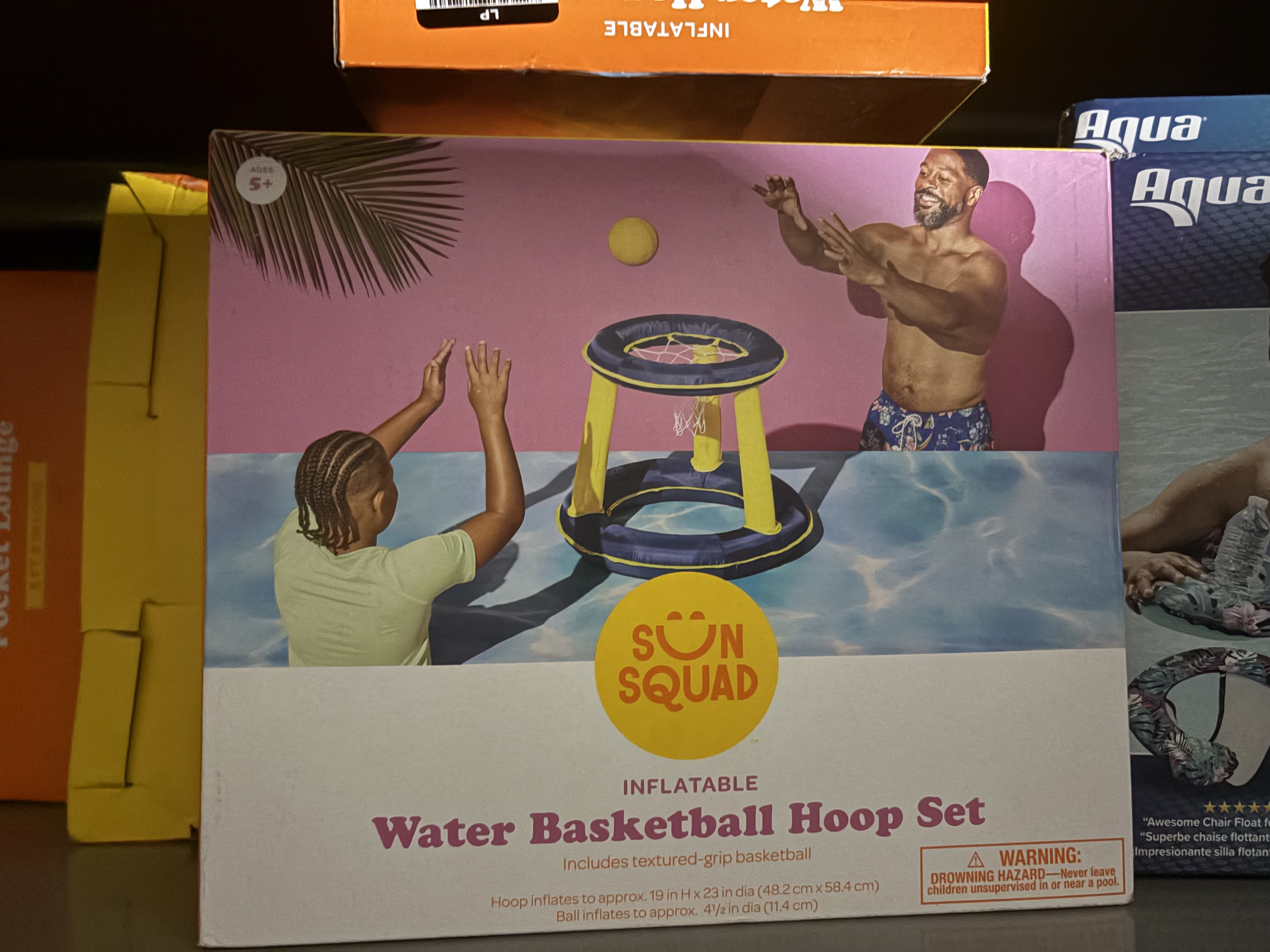 Pool Basketball Hoop