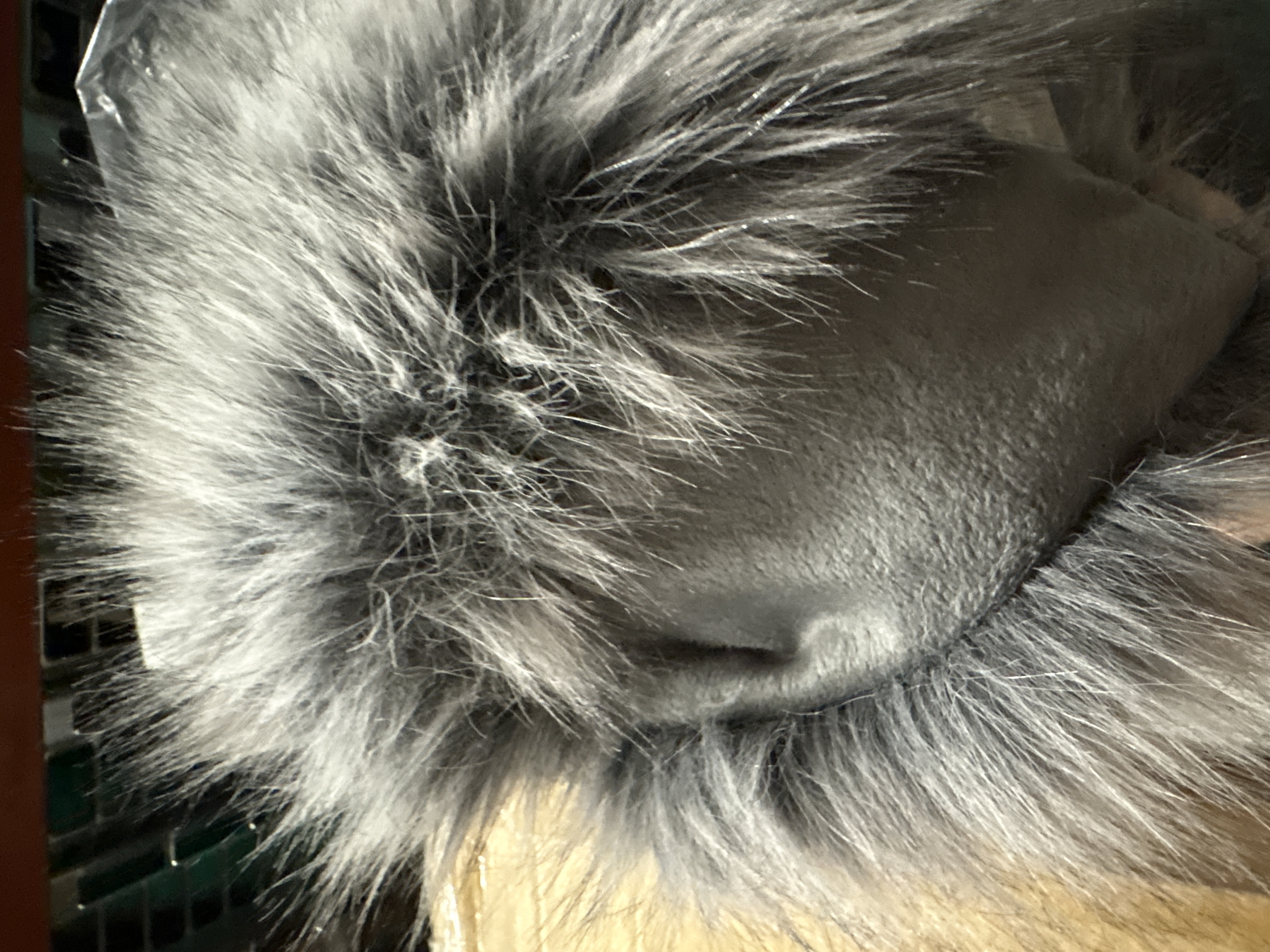 Threshold Faux Fur Throw Blanket Gray