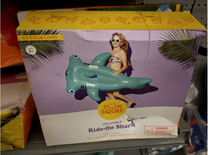 Pool Float